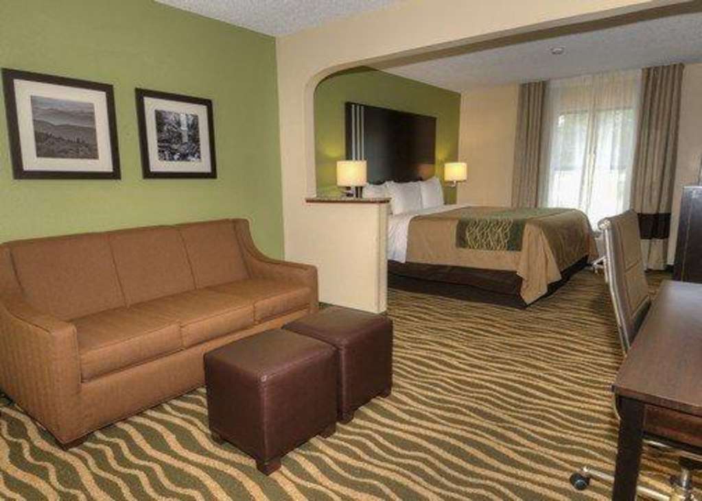 Comfort Inn Near Downtown & Blue Ridge Pkwy Марион Стая снимка
